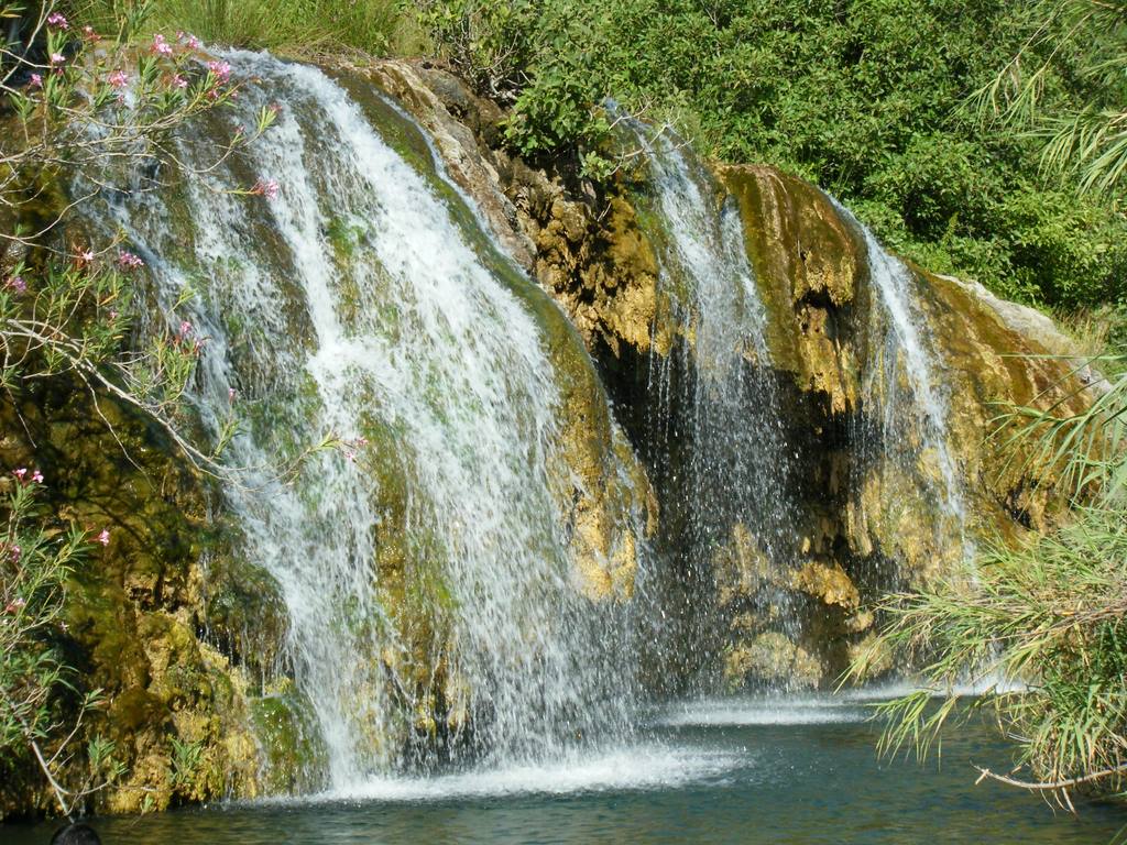 Requena - Naturaleza