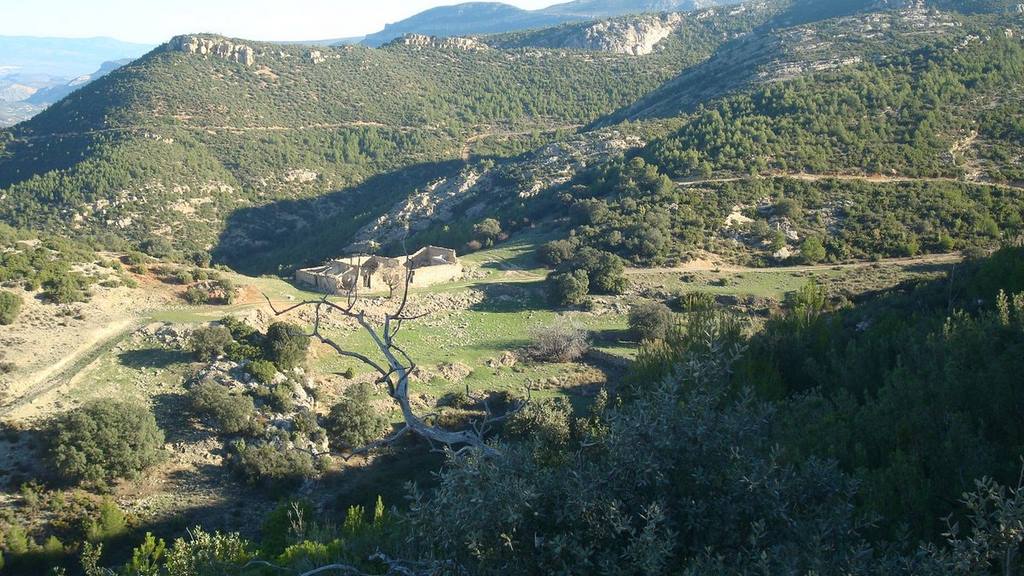 Requena - Naturaleza